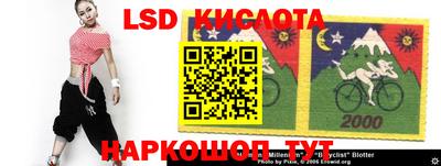 шишки Конаково