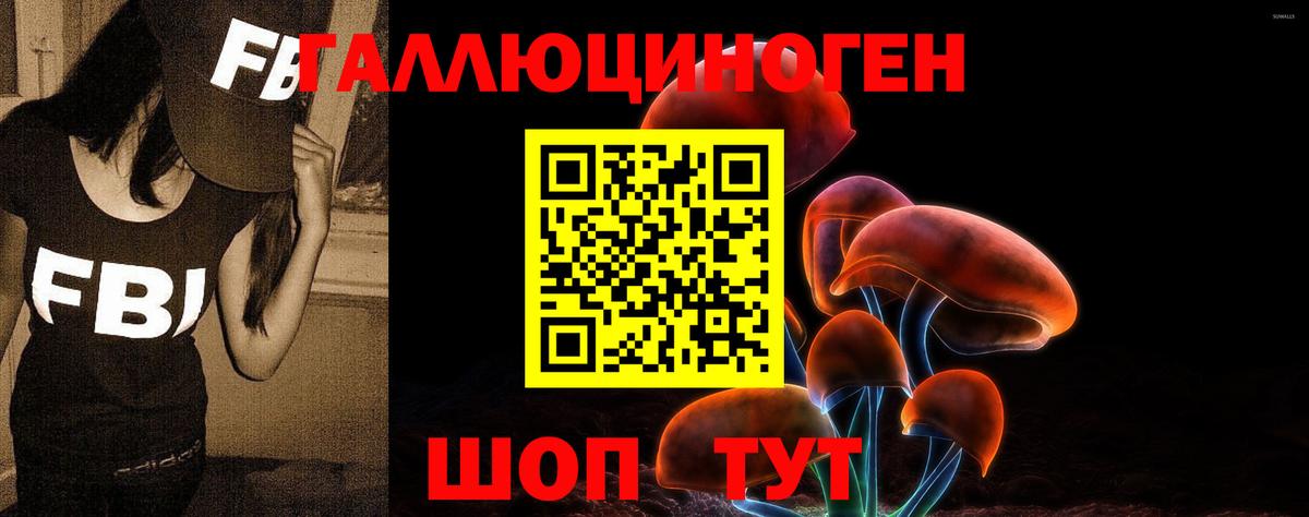 Всеволожск  Псилоцибиновые грибы GOLDEN TEACHER  закладки  Вход с VPN 